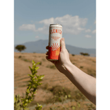 Elenita Strawberry Mule